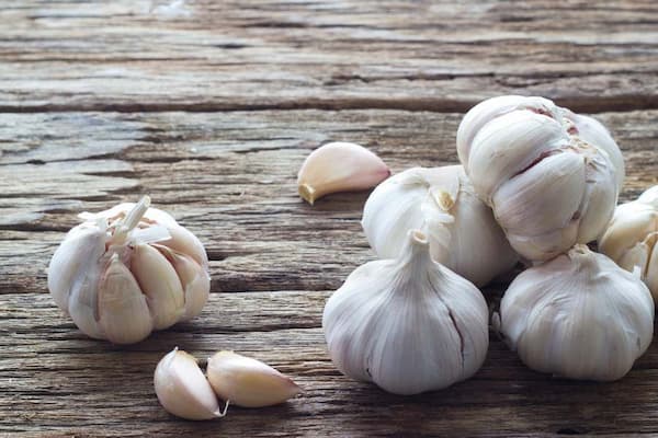 تصویر 1 از خرید و قیمت انواع سیر درجه 1